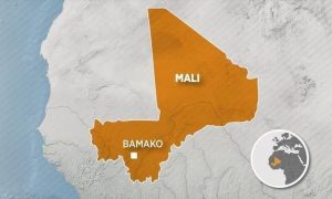Mali : L’Alliance citoyenne pour la République et la démocratie dénonce les insultes et menaces des autorités françaises
